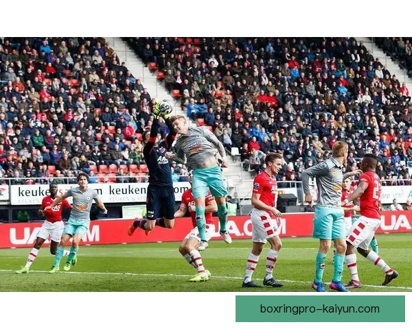 海伦芬进攻套路持续优化，球队表现稳健备受关注