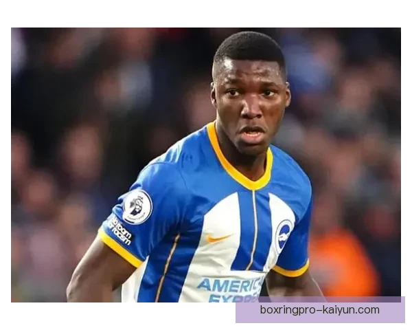 英超布莱顿续约凯塞多，球队对其发展趋势给予高度认可